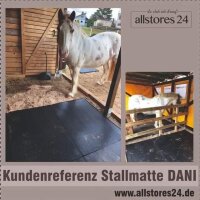 Stallmatte / Paddockmatte DANI B-Ware