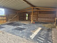 Stallmatte / Paddockmatte DANI B-Ware