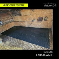 Paddockmatte LARA B-Ware
