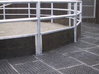 Paddockmatte LIESE