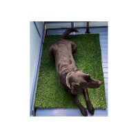 Kunstrasenmatte CHIARA