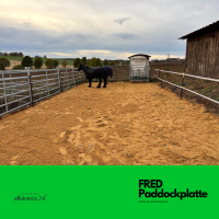 Lochplatte / Paddockplatte FRED