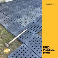 Lochplatte / Paddockplatte FRED