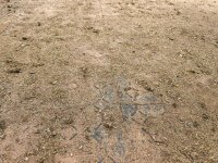 Lochplatte / Paddockplatte FRED