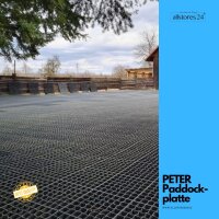Paddockplatte PETER, 4Stk ist 1m²