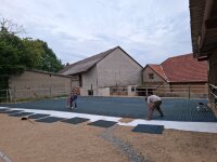 Paddockplatte PETER, 4Stk ist 1m²