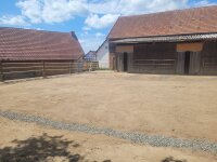 Paddockplatte PETER, 4Stk ist 1m²