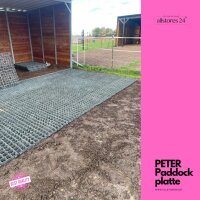 Paddockplatte PETER, 4Stk ist 1m²
