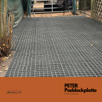 Paddockplatte PETER, 4Stk ist 1m²