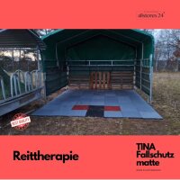 TINA 30mm mit Steckverbinder grau B-Ware