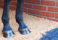 Stallmatte MIRA *NEU*