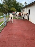 Verbundplatte "HILDEGARD" Rot