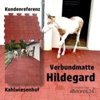 Verbundplatte "HILDEGARD" Rot