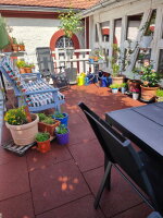 TINA 30mm mit Steckverbinder rot