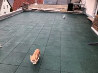 TINA 30mm mit Steckverbinder grün